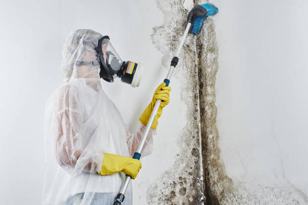 Water damage restoration experts in Nixon, PA